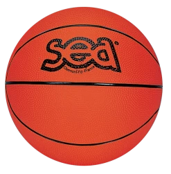 Ballon De Basket SEA Futur Champ